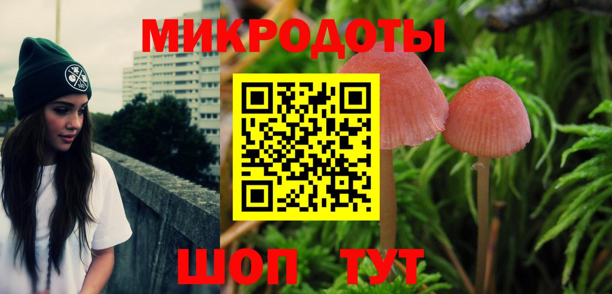 Псилоцибиновые грибы прущие грибы  Вход с VPN  Обнинск  Псилоцибиновые грибы прущие грибы 
